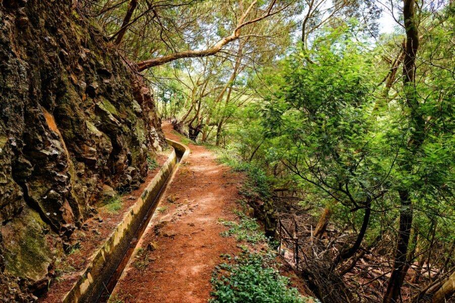 Kelionės maršrutai Madeira