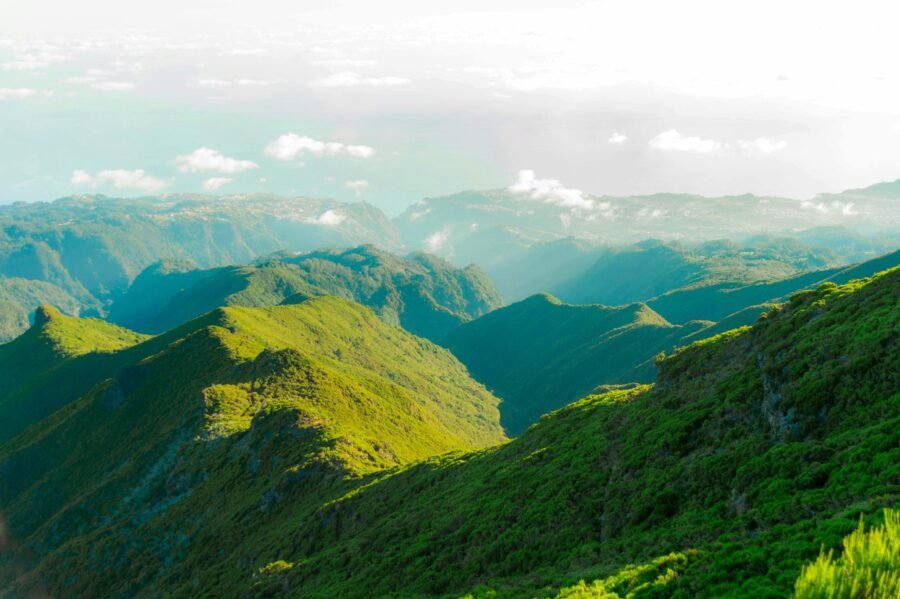 Kelionių planai Madeira